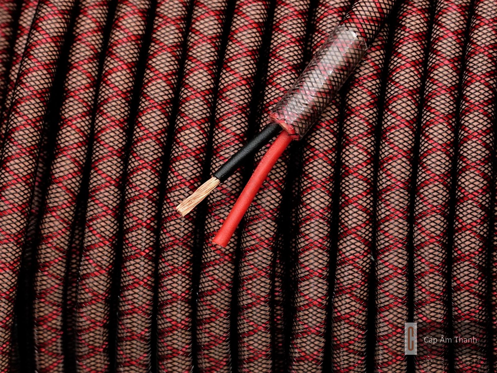 Cáp âm thanh | Phụ kiện âm thanh cao cấp chính hãng |