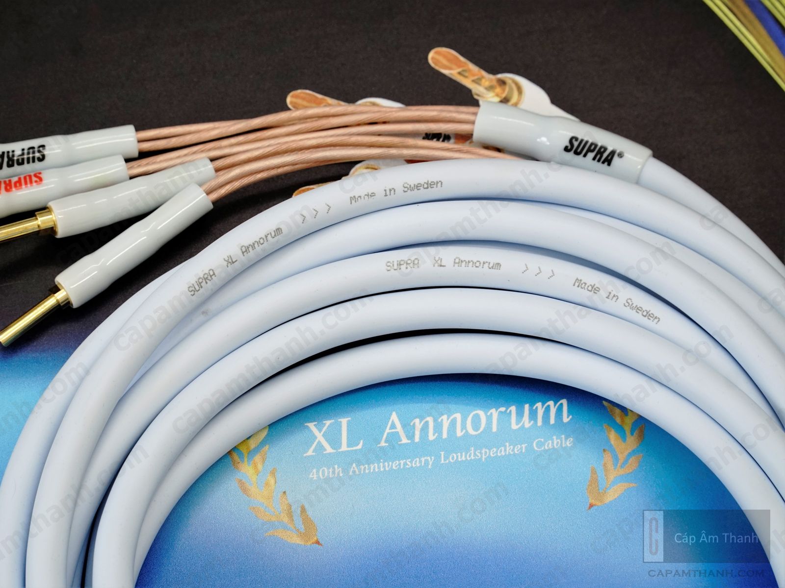 Cáp âm thanh | Phụ kiện âm thanh cao cấp chính hãng |