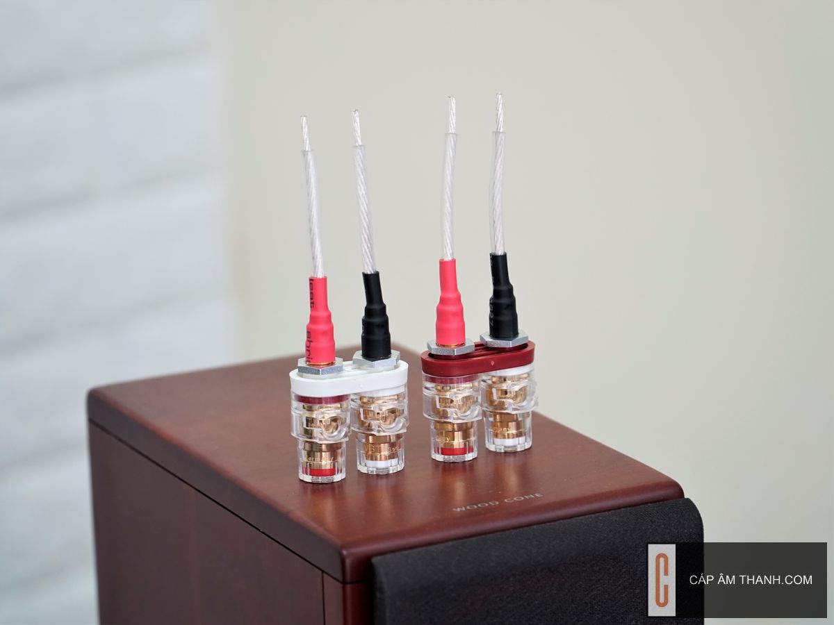 Cáp âm thanh | Phụ kiện âm thanh cao cấp chính hãng |