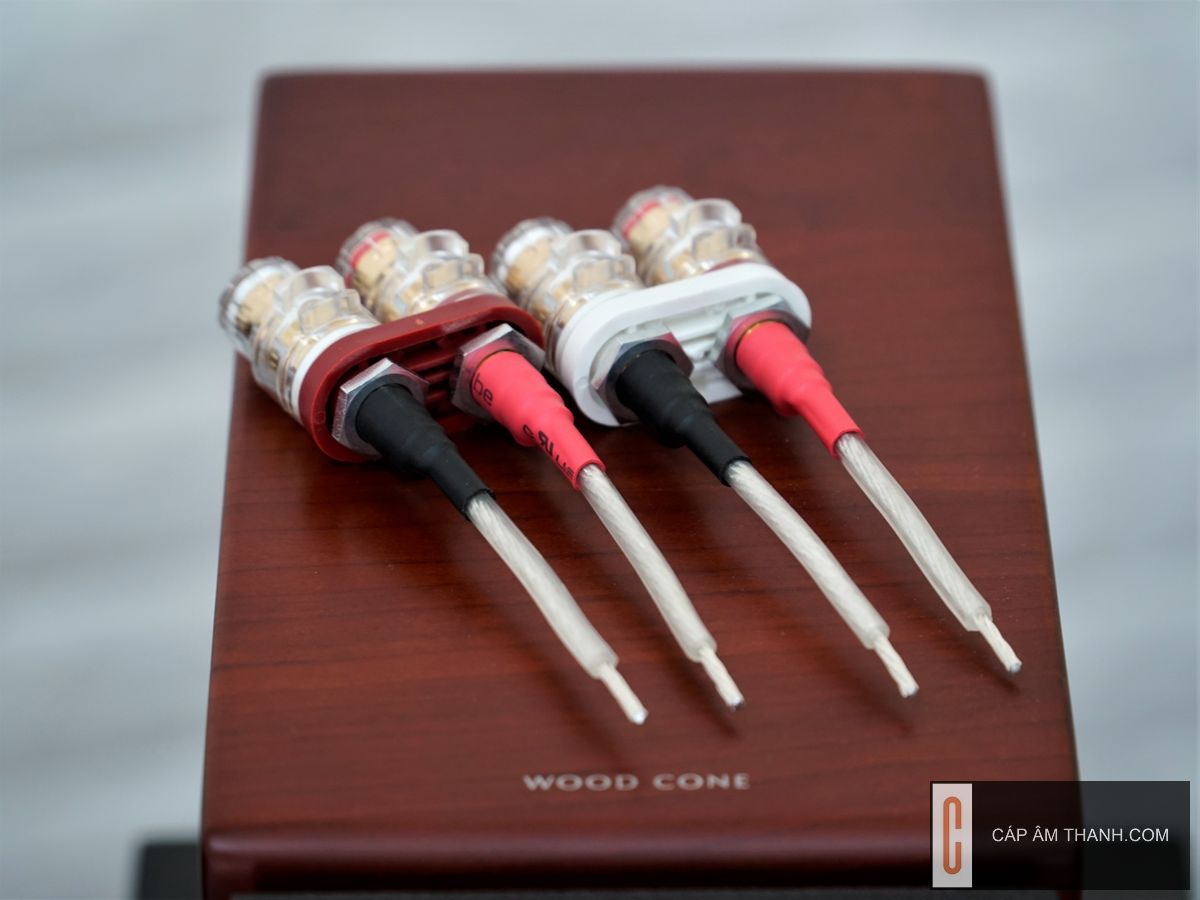 Cáp âm thanh | Phụ kiện âm thanh cao cấp chính hãng |