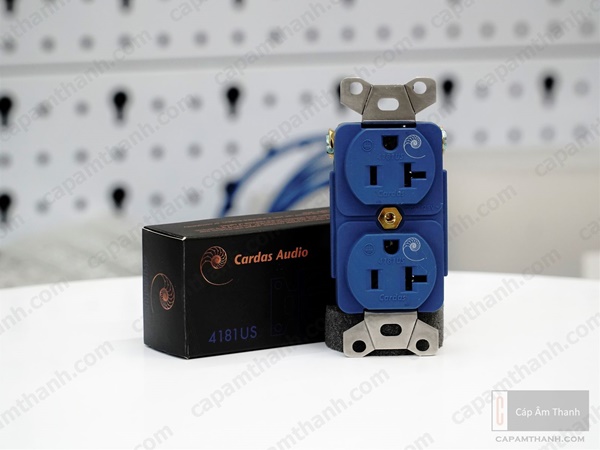 Ổ cắm điện audio