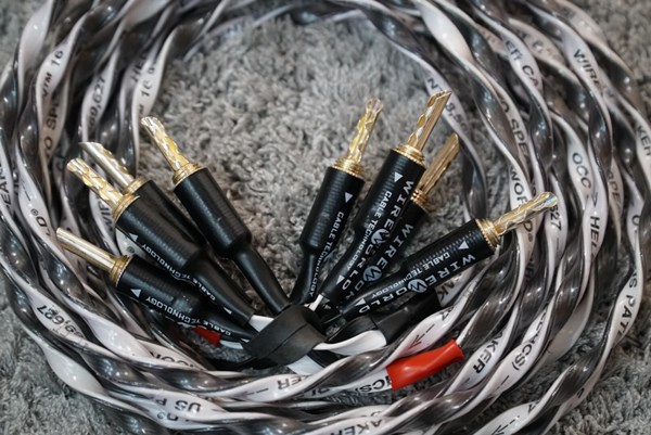 dây loa Wireworld