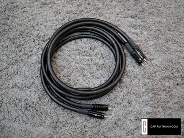 dây tín hiệu Wireworld